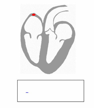 ECG_principle